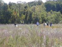 Students in field.JPG
